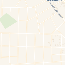 Map - Cobadin