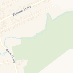 Map - Cogealac