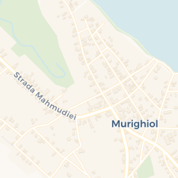 Map - Murighiol