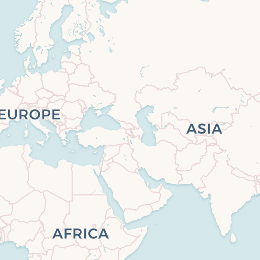 Novel Coronavirus Infection Map